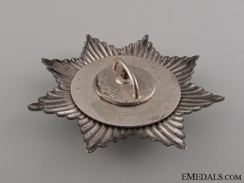 freikorps_bug_star_img_1222_copy