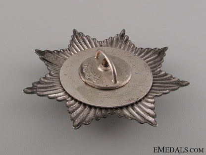 freikorps_bug_star_img_1222_copy