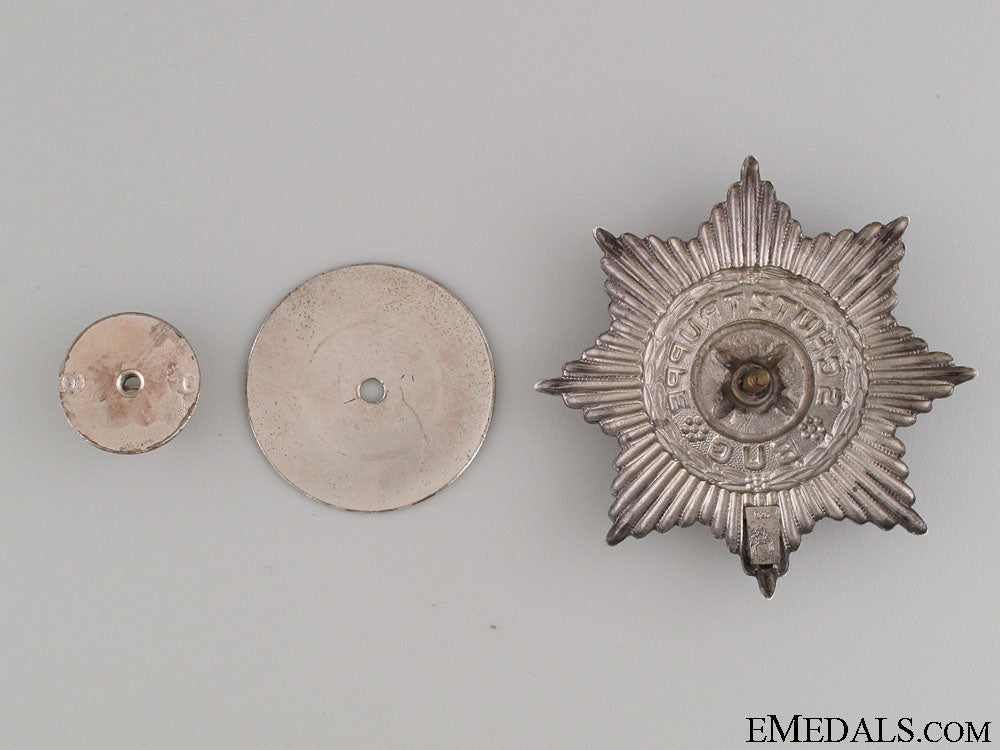 freikorps_bug_star_img_1226_copy