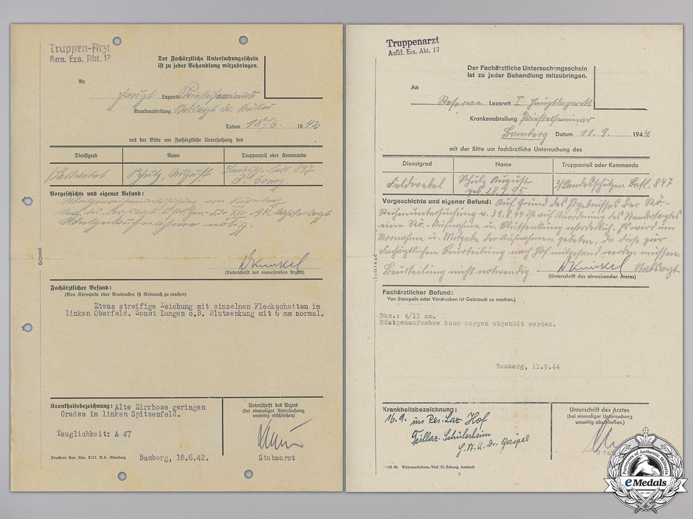a_wehrpass&_medical_book_to_the_railway_pioneers_img_16.jpg553e5e1fb2715