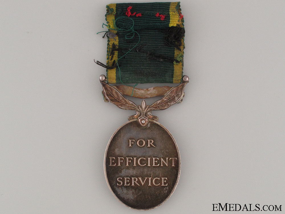efficiency_medal-_territorial&2_bar_img_1855_copy