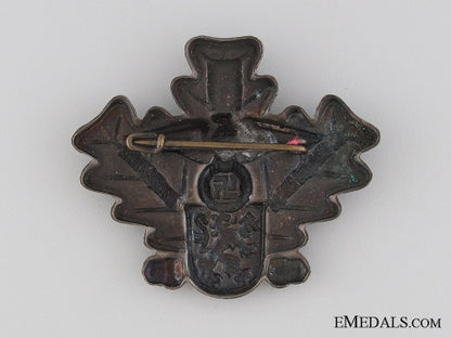 gera_gau_veteran's_day_tinnie,1934_img_2158