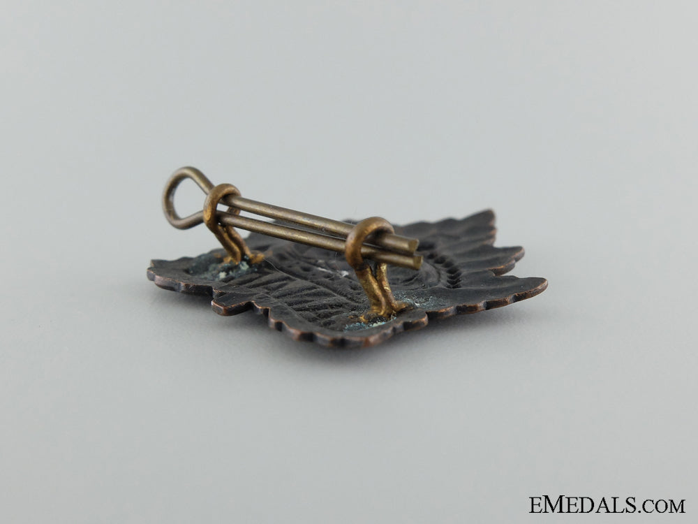 first_war_canadian_insignia_img_23.jpg538603790605e