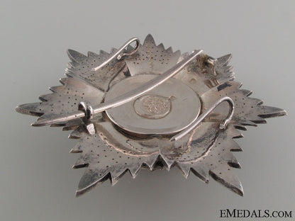 order_of_medjidie(_mecidiye)-_breast_star_img_2452_copy