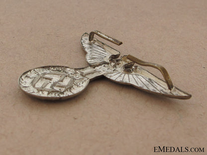 nsdap_m29-_large_hat_eagle_img_2844_copy