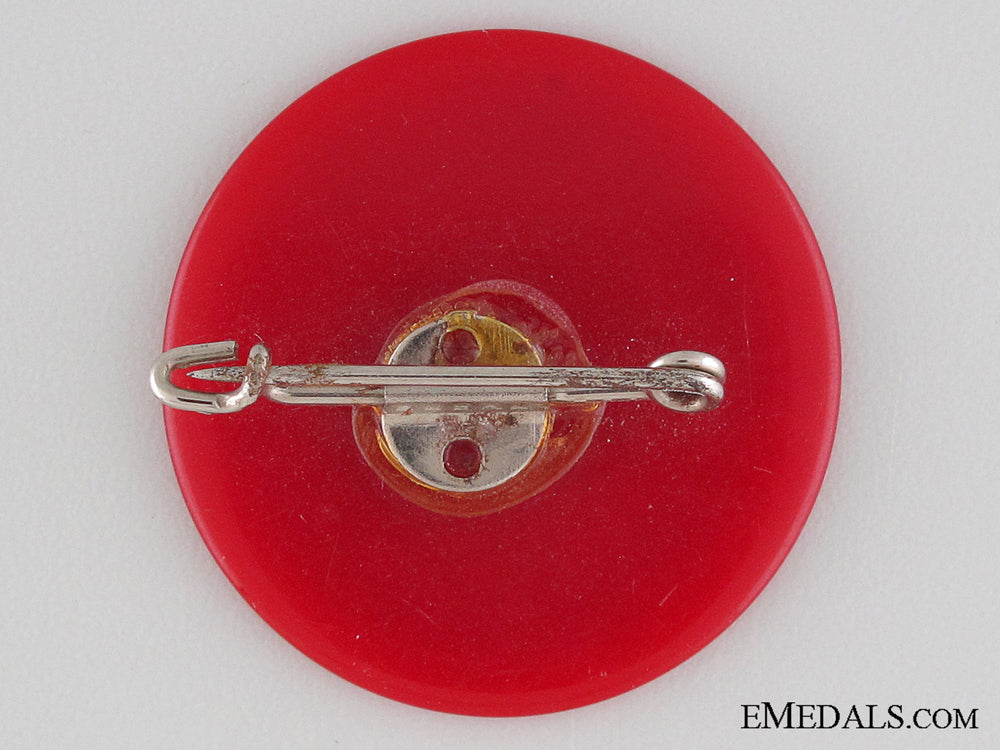 1938_nsdap_celle_badge_img_2904