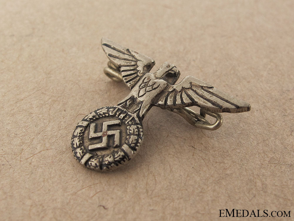 nsdap_supporter's_pin_img_3075_copy