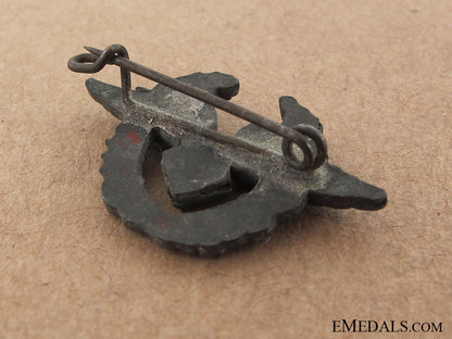 luftwaffe_female_auxiliary_pin_img_3134_copy.jpg50d5f76ee8abe