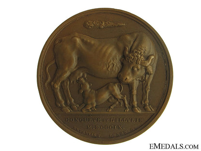 1809_conquest_of_dalmatia_medal_img_5603_copy