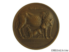 1809 Conquest Of Dalmatia Medal