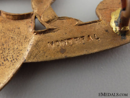 pre-_wwi49_th_hastings_rifles_collar_tab_pair_img_69.jpg537f4fd211d93