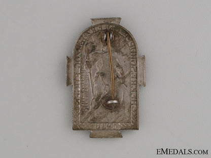 austro_hungarian_army_regimental_badge1916_img_7567_copy
