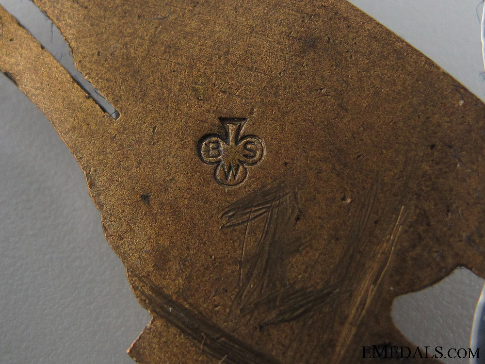 a_cased_paratrooper_badge_by_bsw_img_9082_copy