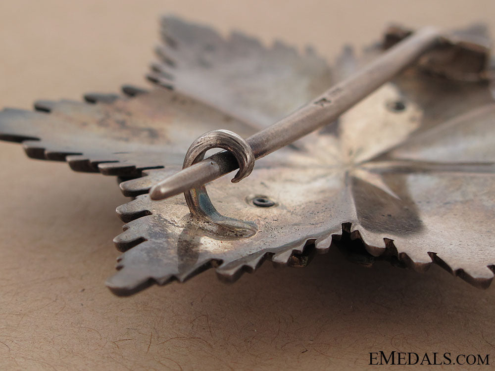 order_of_the_german_eagle_with_swords_img_9686_copy