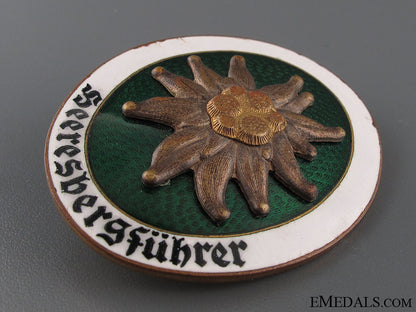 a_rare_alpine_leaders_badge_img_9925_copy