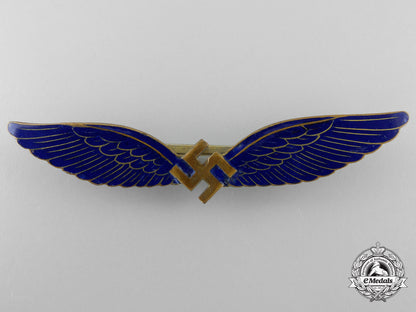a_scarce_civilian_pilot's_badge_by_juncker_with_case_j_005_1