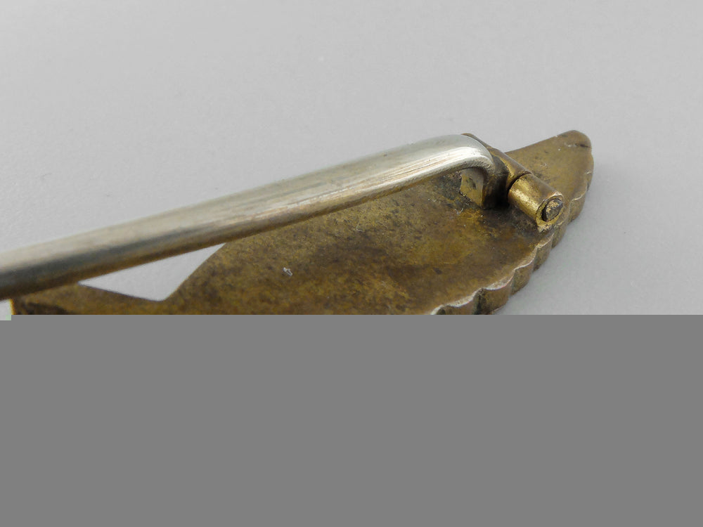 a_scarce_civilian_pilot's_badge_by_juncker_with_case_j_008_1