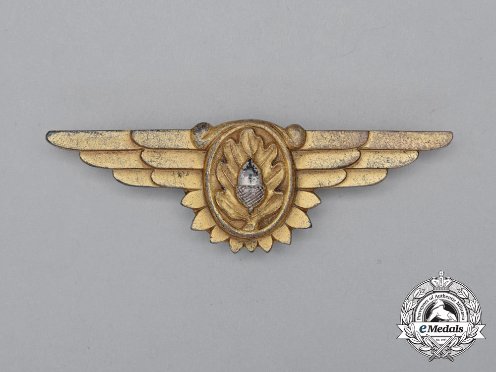 a_second_war_united_states_navy(_usn)_flight_surgeon_badge_j_260_1