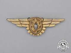 A Second War United States Navy (Usn) Flight Surgeon Badge