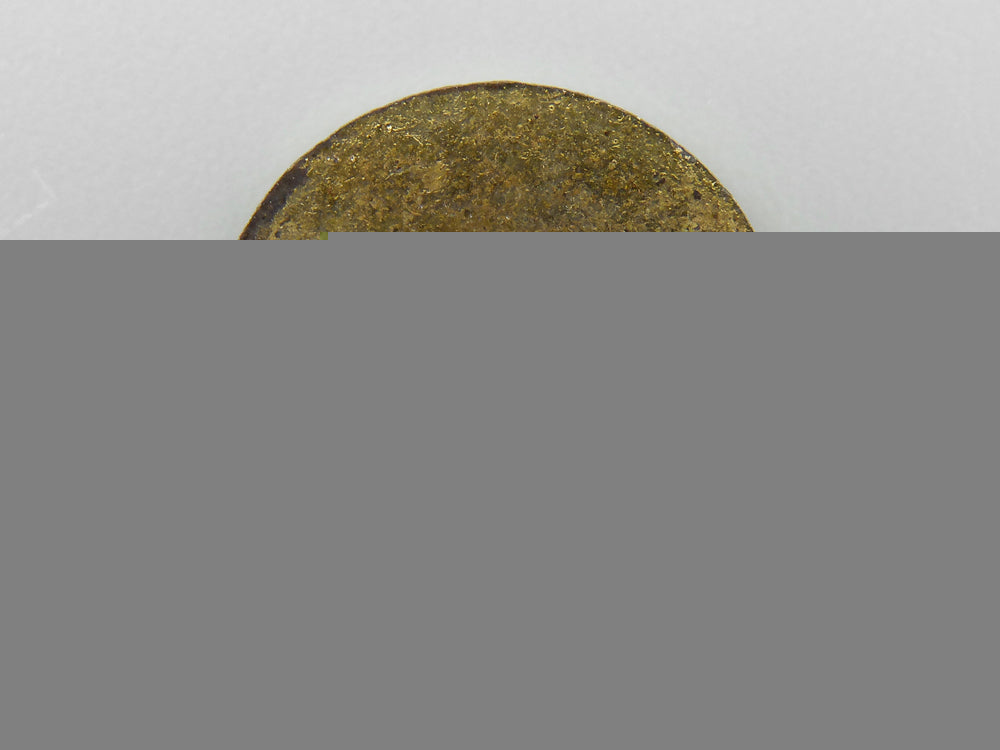 an_d.s.v._tientsin_badge_china_badge_j_380