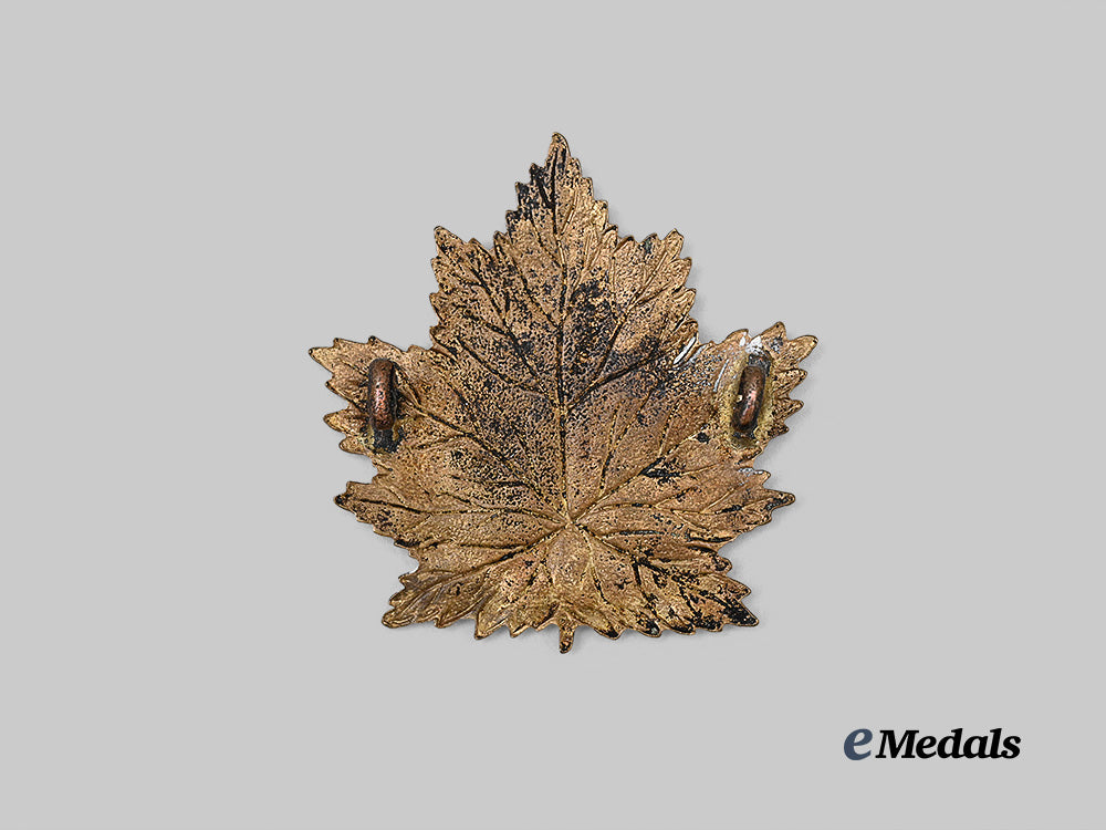 canada,_c_e_f._a2nd_infantry_battalion"_eastern_ontario_regiment"_cap_badge_e_medals__c7538_3
