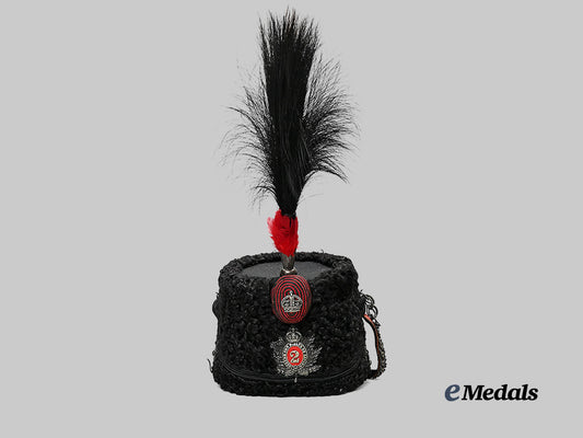 canada._a_queen’s_own_rifles_busby_with_plume_and_metal_case_e_medals__m0432-254_6