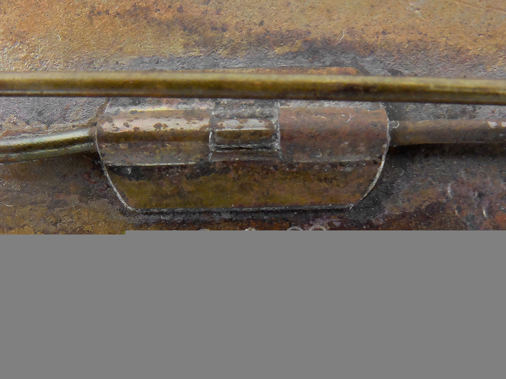 a_gau_champion_badge_in_gold_with_oakleaves_on_volks_target_k_221