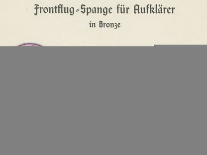 an_award_document_for_luftwaffe_reconnaissance_squadron_clasp_k_881