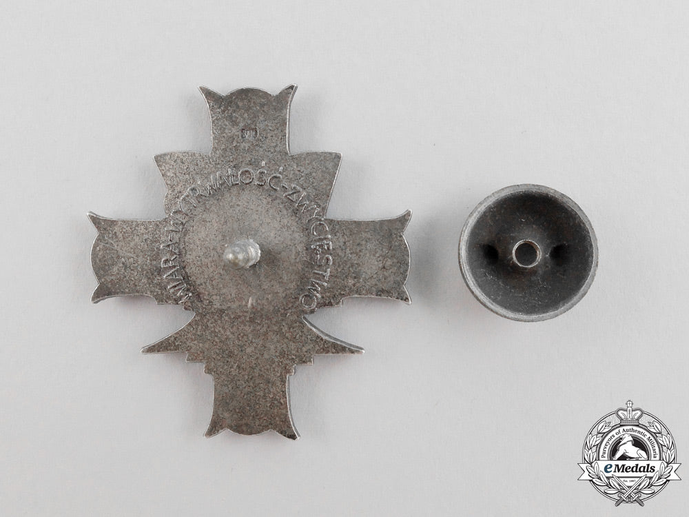 poland._a3_rd_carpathian_rifle_division_badge_in_silver_k_894_1