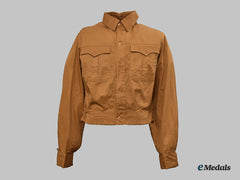 Germany, Nsdap. A Mint Brownshirt, By Bobi