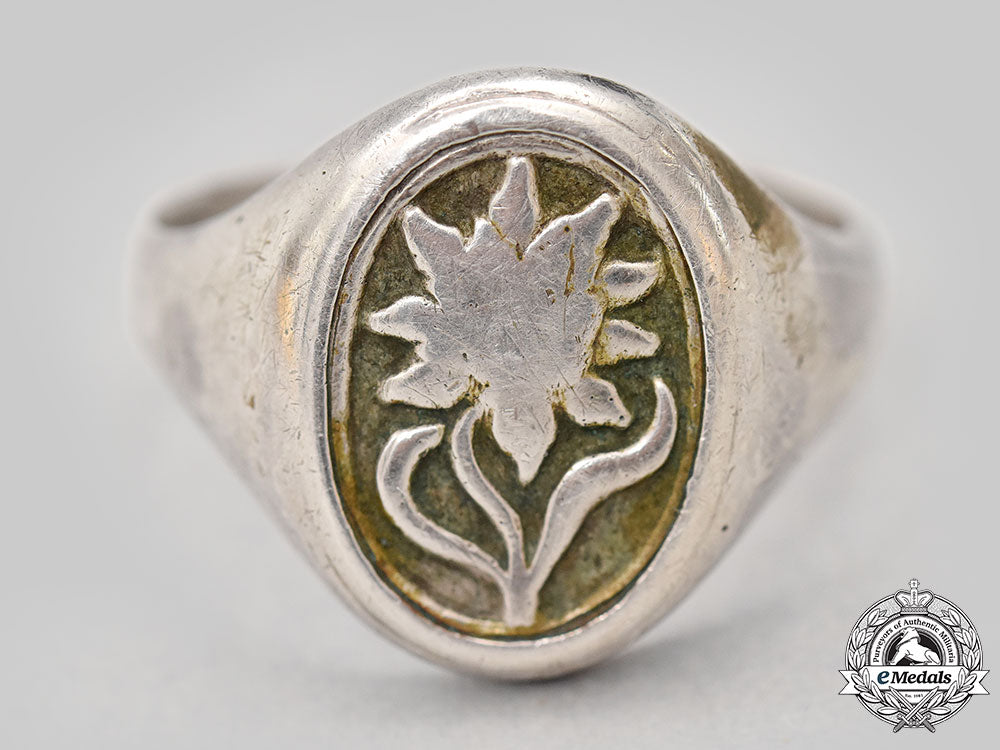 germany,_heer._a1._gebirgs-_division_silver_ring_l22_mnc1780_799