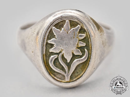 germany,_heer._a1._gebirgs-_division_silver_ring_l22_mnc1780_799