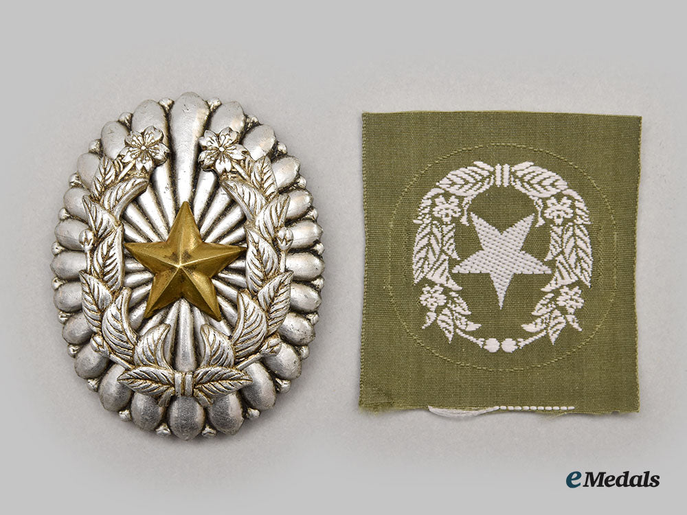 japan,_empire._a_lot_of_medals_and_insignia_l22_mnc1789_578