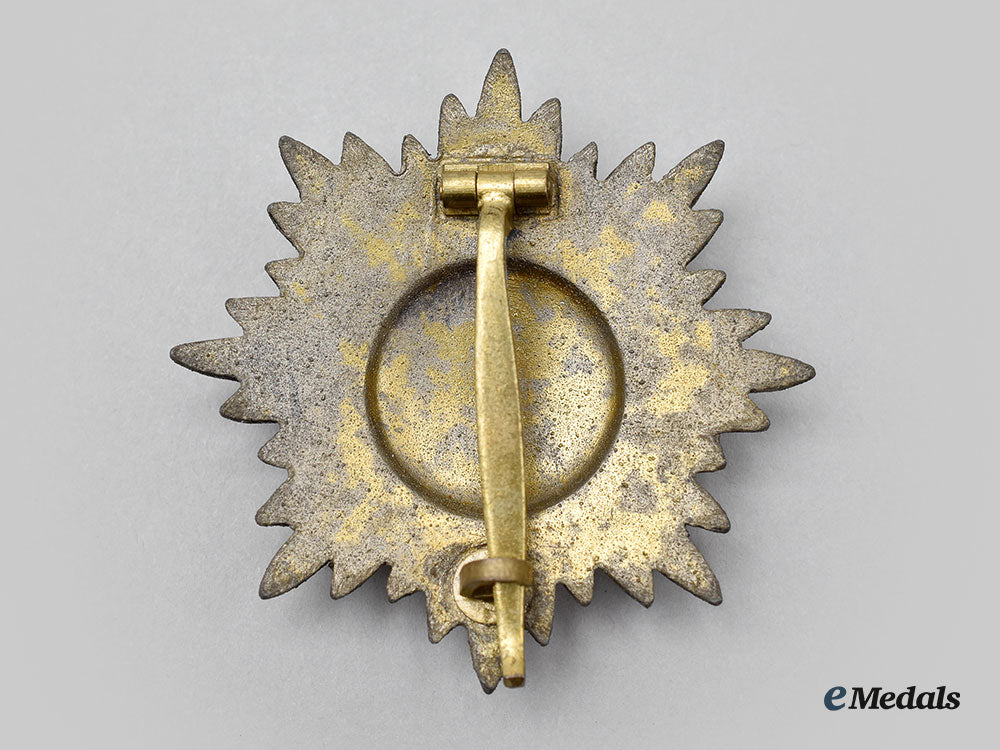 germany,_wehrmacht._an_eastern_peoples_bravery_decoration,_i_class_gold_grade_with_case_l22_mnc1938_317