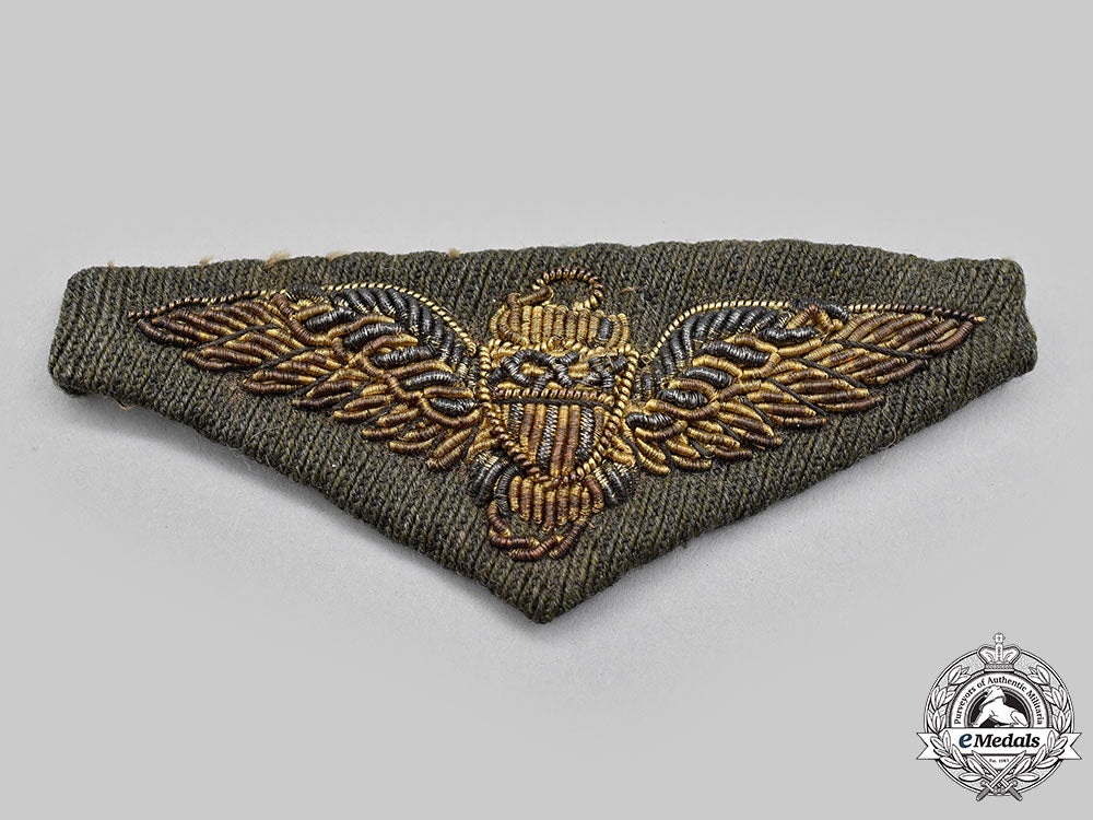 united_states._a_united_states_army_air_corps_pilot_wing,_c.1925_l22_mnc2297_155_1