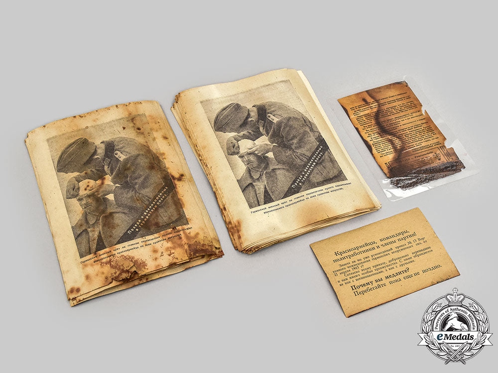 germany,_wehrmacht._a_mixed_lot_of_eastern_front_safe_surrender_passes_and_propaganda_leaflets_l22_mnc3182_234
