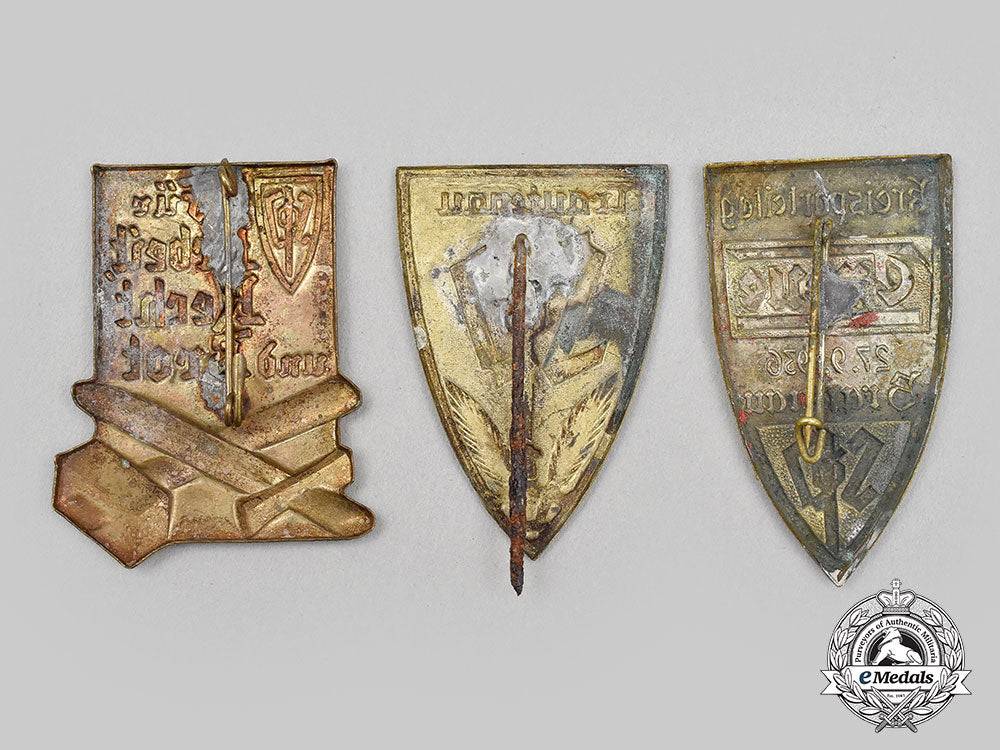 germany,_third_reich._a_lot_of_sudeten_german_party_badges_l22_mnc3387_767_1_1