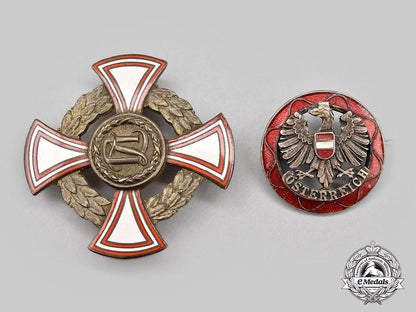 austria,_republic._two_badges_l22_mnc4183_148