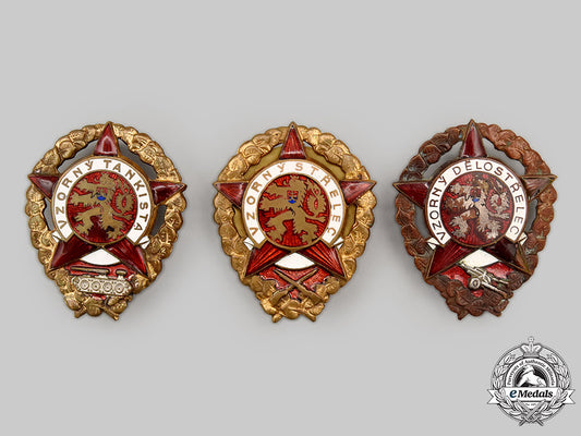 czechoslovakia,_socialist_republic._a_lot_of_three_czech_army_exemplary_service_badges_l22_mnc4460_666