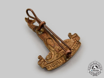 canada,_commonwealth._a1_st_canadian_armoured_carrier_regiment(1_cacr)_cap_badge_l22_mnc4532_696_1_1_1_1