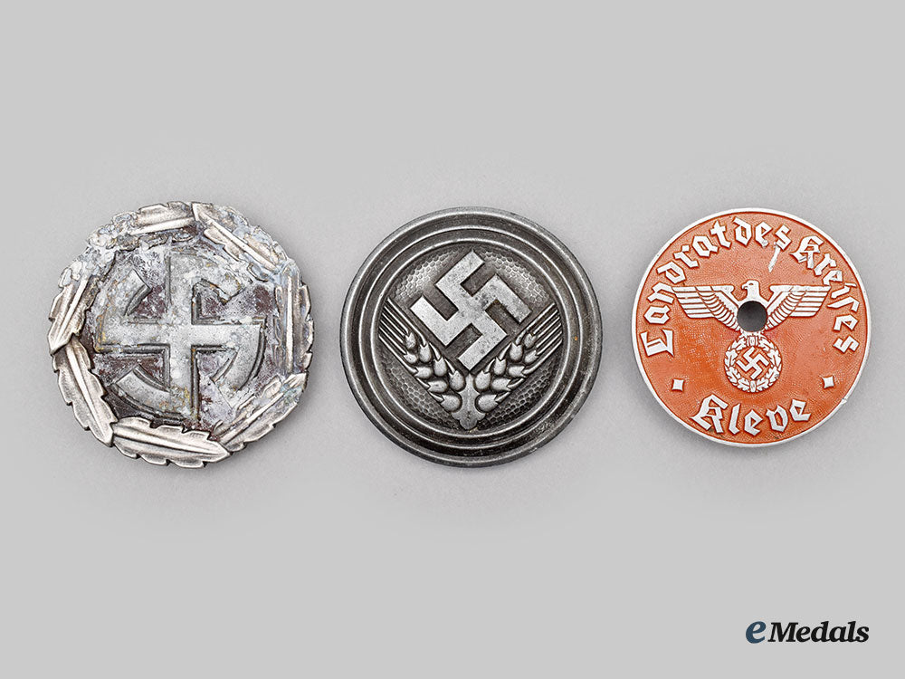 germany,_third_reich._a_mixed_lot_of_badges_l22_mnc4849_587