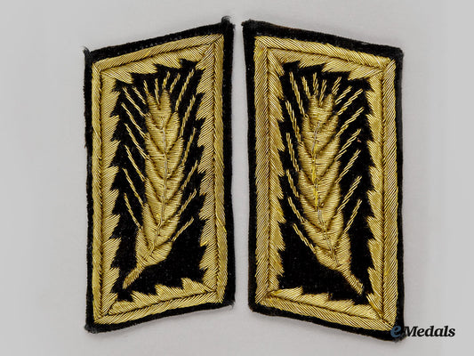 germany,_rad._a_set_of_reichsarbeitsführer-_generalsarbeitsführer_collar_tabs_l22_mnc4935_604