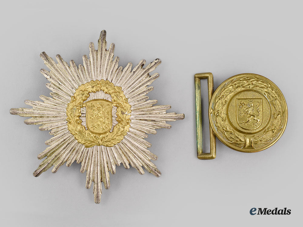 germany,_third_reich._a_pair_of_thüringen_fire_brigade_insignia_l22_mnc5392_832