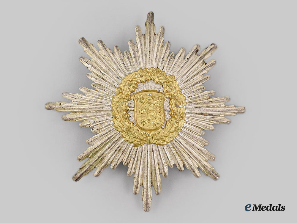 germany,_third_reich._a_pair_of_thüringen_fire_brigade_insignia_l22_mnc5394_833