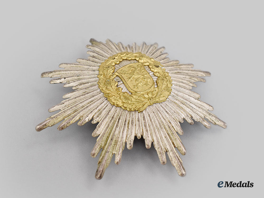 germany,_third_reich._a_pair_of_thüringen_fire_brigade_insignia_l22_mnc5395_834