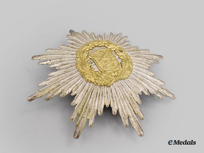 germany,_third_reich._a_pair_of_thüringen_fire_brigade_insignia_l22_mnc5395_834