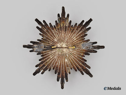 germany,_third_reich._a_pair_of_thüringen_fire_brigade_insignia_l22_mnc5397_835