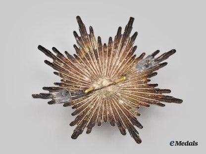 germany,_third_reich._a_pair_of_thüringen_fire_brigade_insignia_l22_mnc5398_836