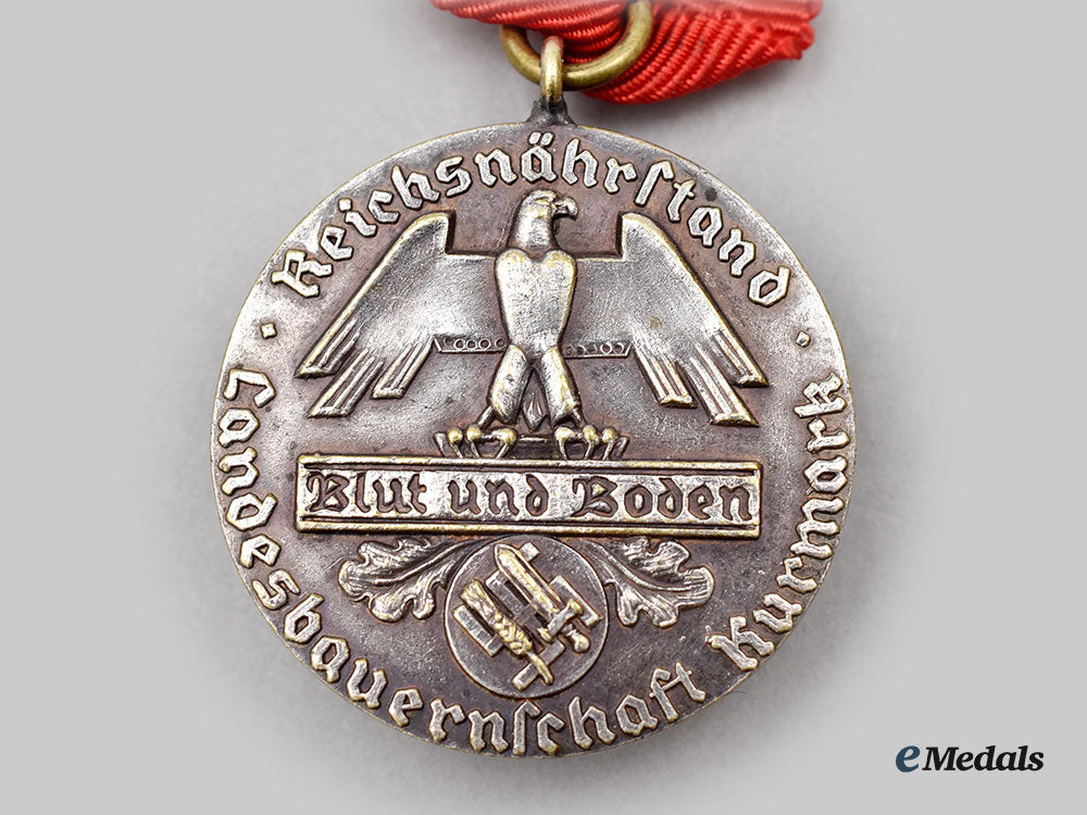 germany,_third_reich._a_reichsnährstand_kurmark_agricultural_association_faithful_service_medal_l22_mnc6552_340_1