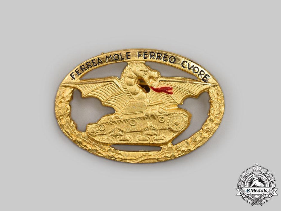 Europe-Italy-Badges-Army – eMedals